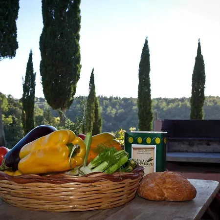 Podere Marilla Peccioli